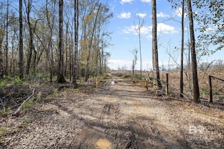 0 Bryants Landing Rd Unit 356356, Stockton, AL 36579