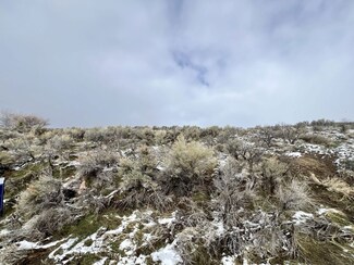 327 Lookout Dr, Spring Creek, NV 89815