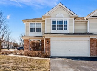 938 Charlela Ln Unit 140360, Elk Grove Village, IL 60007