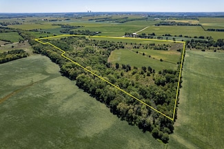 0 W Myrtle Rd Unit 73 ac +/-, Leaf River Township, IL 61047