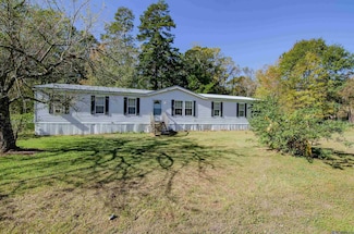 28631 Mcarthur Dr, Livingston, LA 70754