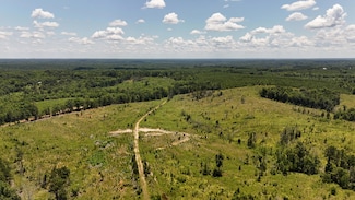 0 Halsellville Rd, Chester, SC 29706