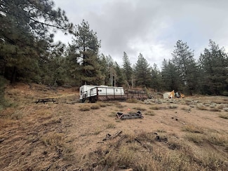 1785 Grizzly Rd, Portola, CA 96122