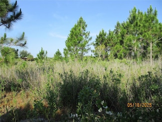 15312 NW 274th St, Okeechobee, FL 34972