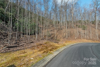 0 Shining Rock Path Unit 12 CAR4241175, Horse Shoe, NC 28742