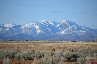 0 County Road 133 Unit 751931, Hesperus, CO 81326