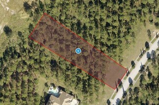 16146 Pendio Dr, Montverde, FL 34756