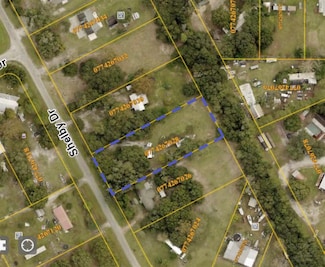 12405 Shelby Dr, Riverview, FL 33579