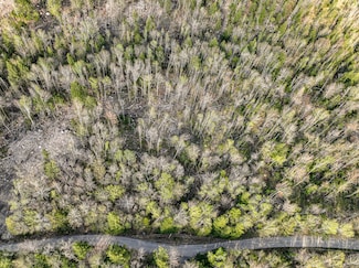 Lot 39 Sawyer Brook Rd, Andover, ME 04216