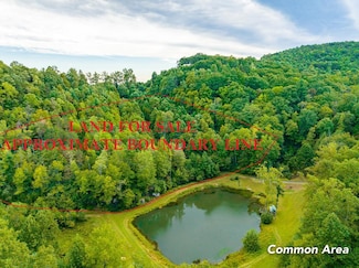 4.6 Acre Old Pond Trail, Fancy Gap, VA 24328