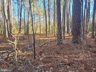 Lot 7 Diamond Dr, Hague, VA 22469
