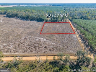 TRACT 5 Pine Cone Trail, Mershon, GA 31551