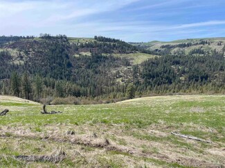 TBD Wagon Wheel Rd, Harpster, ID 83552