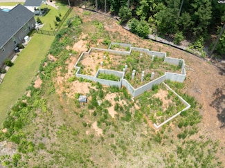 528 Links Pointe Ct, Chapin, SC 29036