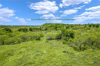 88 ac. Tract 13 Tower Dr, Moody, TX 76557