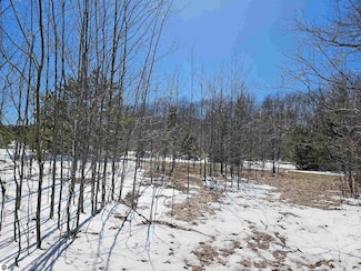 0000 V/L "C" Grass Lake Rd Unit C, Excelsior Township, MI 49646