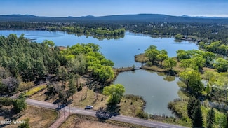 XXX Larson Rd, Lake of the Woods, AZ 85929