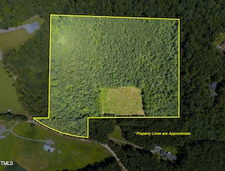 1096 Kadir Womble Dr, New Hill, NC 27562