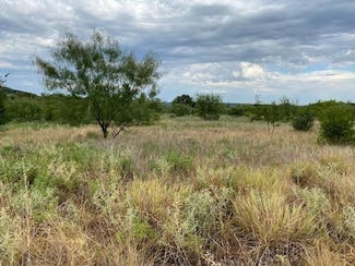 Lot 23 Northern Bobwhite Ct, Graford, TX 76449