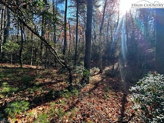 Lot 31 & 32 Thoreau Ct, West Jefferson, NC 28694