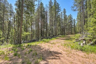 7 S Wallace Ave, Pleasant Park Corridor, CO 80433