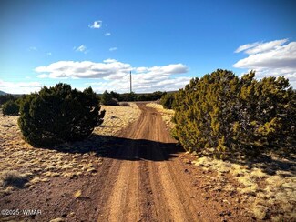 1782 3140, Vernon, AZ 85940