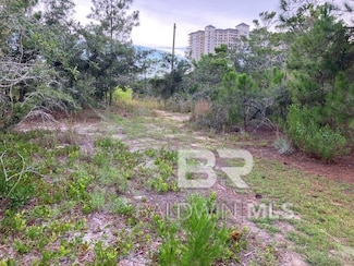 8844 Bonita Ln Unit 58, Gulf Shores, AL 36542