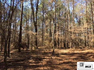 000 Fourway Loop Rd Unit Tract 2, Downsville, LA 71241