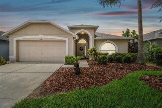 2739 Butterfly Landing Dr, Land O Lakes, FL 34638