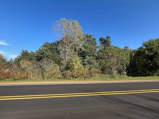 VL Morrill Rd, Blackman, MI 49201
