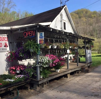 23350 S Calhoun Hwy, Chloe, WV 25235