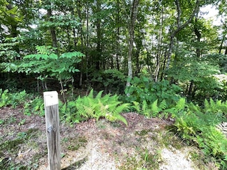 Lot 37 Fodder Creek Mill Dr, Hiawassee, GA 30546