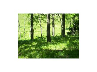 0 E 900 Rd Unit 1777459, Pleasanton, KS 66075