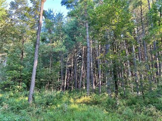0 E 350th St, Brimson, MO 64642