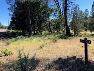 Lot 21 Shoshoni Loop, Fall River Mills, CA 96028