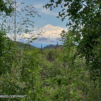 20499 E Rampart Loop, Talkeetna, AK 99676