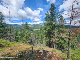 NNA W 40 Acres Cougar Gulch Rd, Coeur D'Alene, ID 83814
