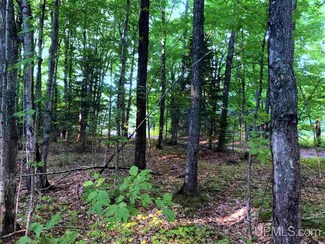 TBD Eek Rd, Princeton, MI 49841