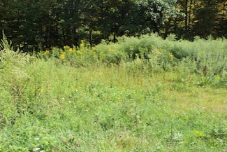 3331 Brush Ridge Rd, Fleischmanns, NY 12430