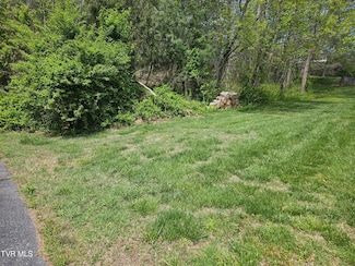 0 Arnold Palmer Dr, Greeneville, TN 37743