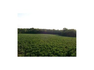 0 NE Pleasant Rd Unit 2007075, Weatherby, MO 64497