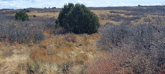 TBD Road c, Dove Creek, CO 81324