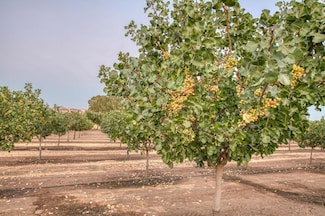 13638 E Shepherd Ave, Clovis, CA 93619