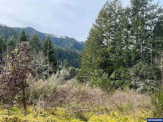 2 Parcels Hwy 138 Hwy W, Oakland, OR 97462