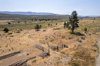 414-000 Scott Rd, Doyle, CA 96109