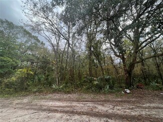 TBD Divisiom, Bunnell, FL 32110