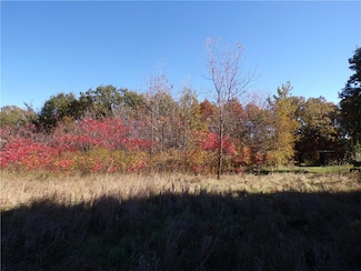 Lot 2 187th St, Eagle Point Township, WI 54729