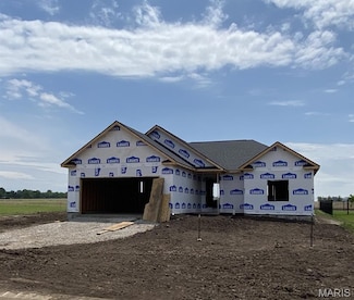906 Brianna Ct, Otterville, IL 62052