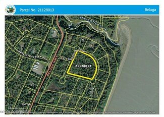 BLK 4 TR B Chickaleution Loop, Remote, AK 99682
