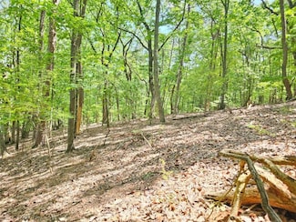 0 Turnbury Ln Unit 7584680, Big Canoe, GA 30143